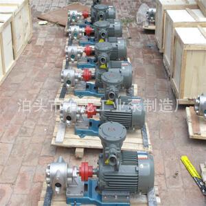 螺纹连接的不锈钢KCB泵 泊头小泵 河北白钢泵厂家 304不锈钢泵
