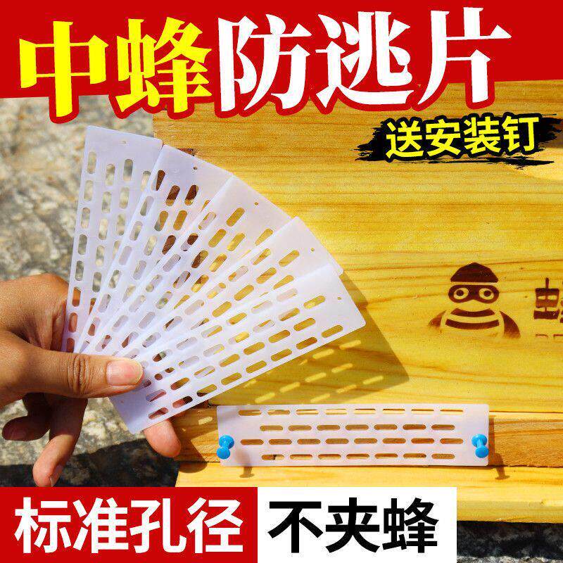 蜜蜂中蜂防跑王片防逃片蜂王防跑片蜂箱巢门隔王片防逃网框防盗蜂