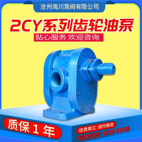 2CY系列压齿轮泵小型铸铁卧式2CY3m3/h燃油压齿轮泵输送泵