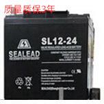 西力达SL12-24直流屏照明应急灯SEALEAD蓄电池12v24ah电瓶