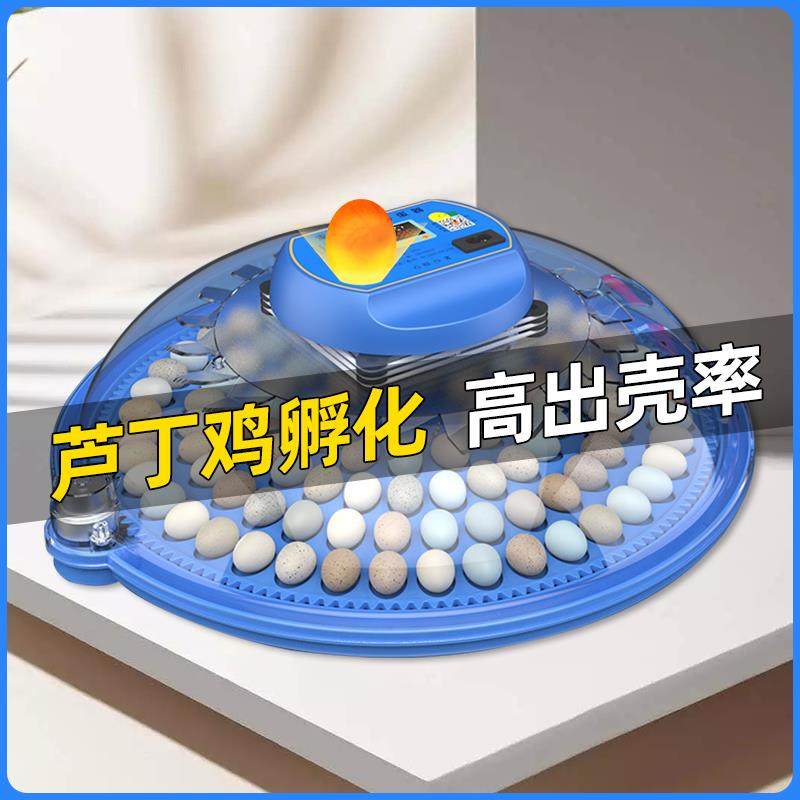 孵化器小型家用全自动智能鸟蛋芦丁小鸡孵蛋器小飞碟孵化箱孵化机