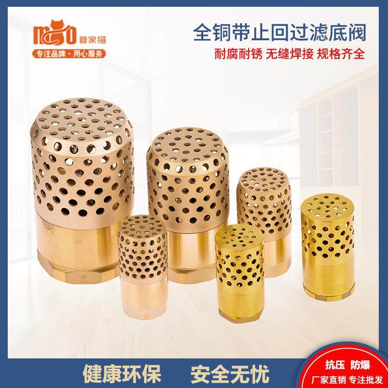 全铜水泵底阀抽水机带过滤网diy怀炉单向止回阀6分吸水机止逆阀门,五金/工具,底阀,淘宝优惠券,粉丝福利购,淘宝优惠卷