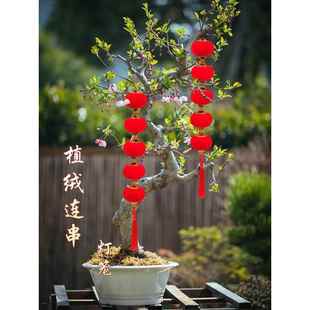 植绒小灯笼挂饰春节新年开业装饰红灯笼串灯户外商场装饰DIY灯笼