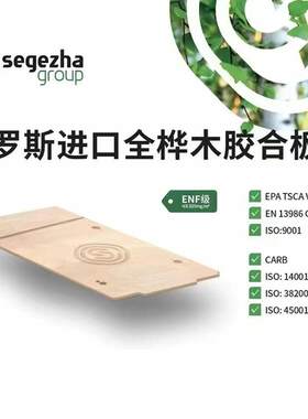 俄罗斯防水海洋板4~30mm纯桦木胶合板家具儿童玩具工艺品装饰面板