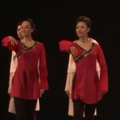 正品汉唐古舞踏歌服葬心演出服纱衣练功服练习民族风浣典溪沙表演