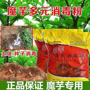 魔芋多元消毒粉杀菌防病种子土壤消毒魔芋抗软腐病白绢病专用药