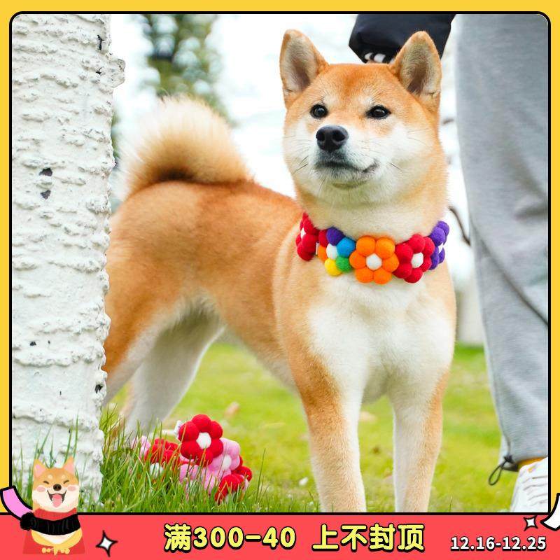 春田花花 柴犬彩虹花花项圈柴犬围脖可爱花朵狗狗网红拍照柯基,宠物/宠物食品及用品,项圈/肩带,淘宝优惠券,粉丝福利购,淘宝优惠卷