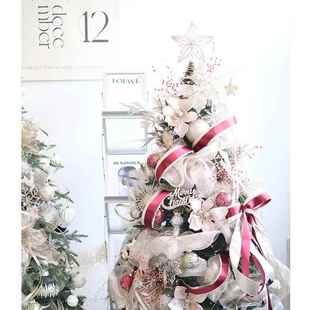 BG创意设计款 饰套餐圣诞配饰 红色绿色圣诞树一米五一米八圣诞树装