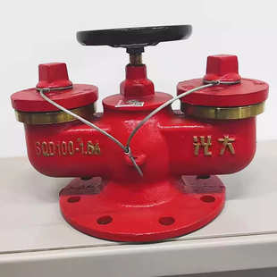 1.6ADN100消防水泵接合器 100 新型地下式 多功能水泵接合器SQD150