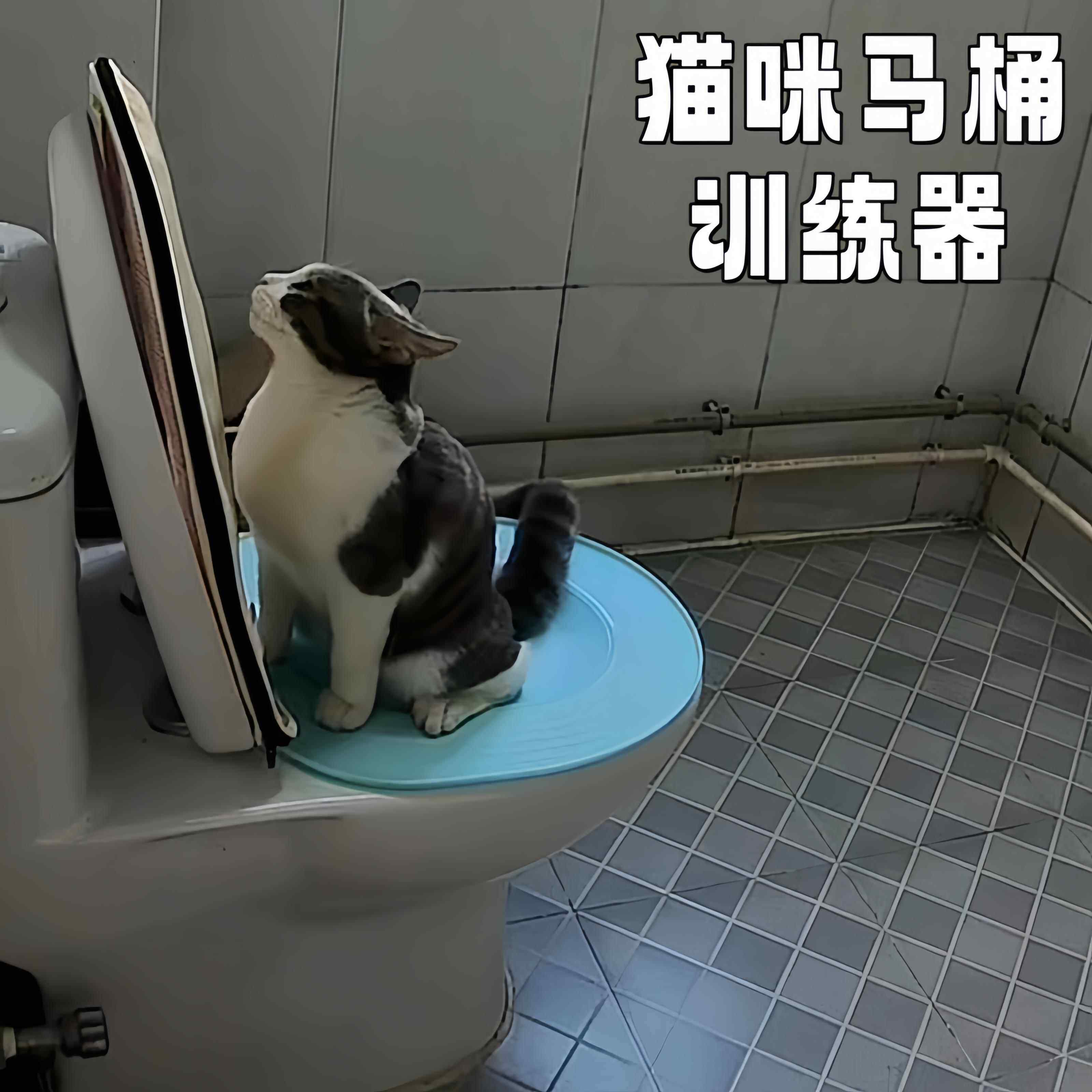 猫咪马桶训练器上厕所蹲厕训练神器可拆卸坐便猫砂盆防外溅猫砂盘