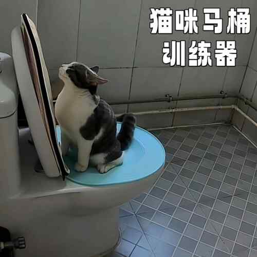 猫咪马桶训练器上厕所蹲厕训练神器可拆卸坐便猫砂盆防外溅猫砂盘
