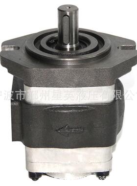 工厂供应NBL2A1-251L-H01内齿轮泵不锈钢液压齿轮泵