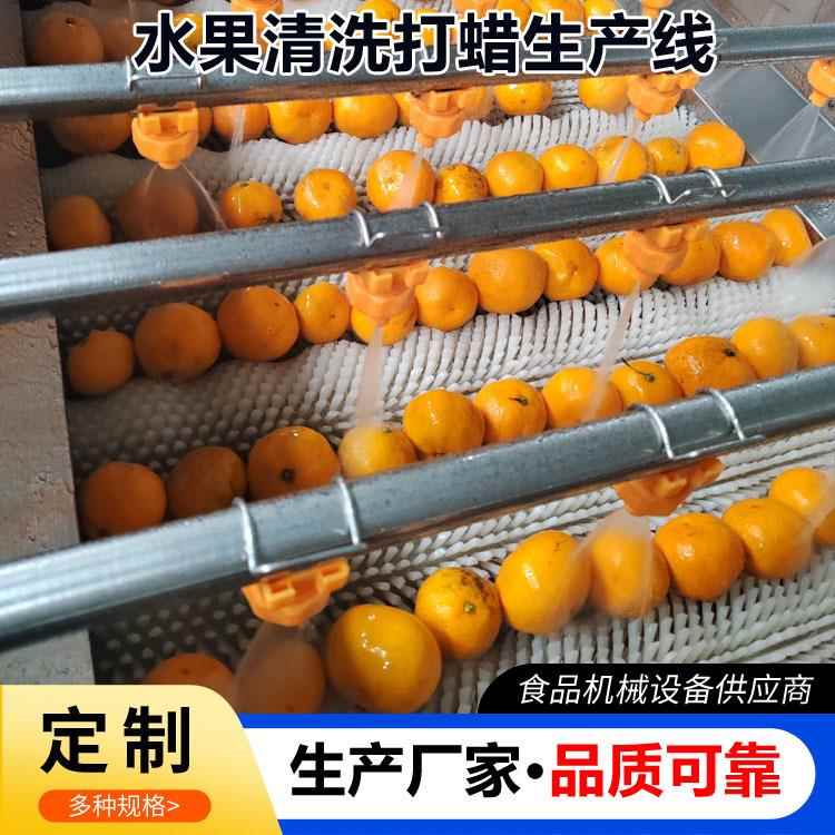 全自动水果清洗打蜡机柚子清洗打蜡分级机设备柑橘打蜡选果机