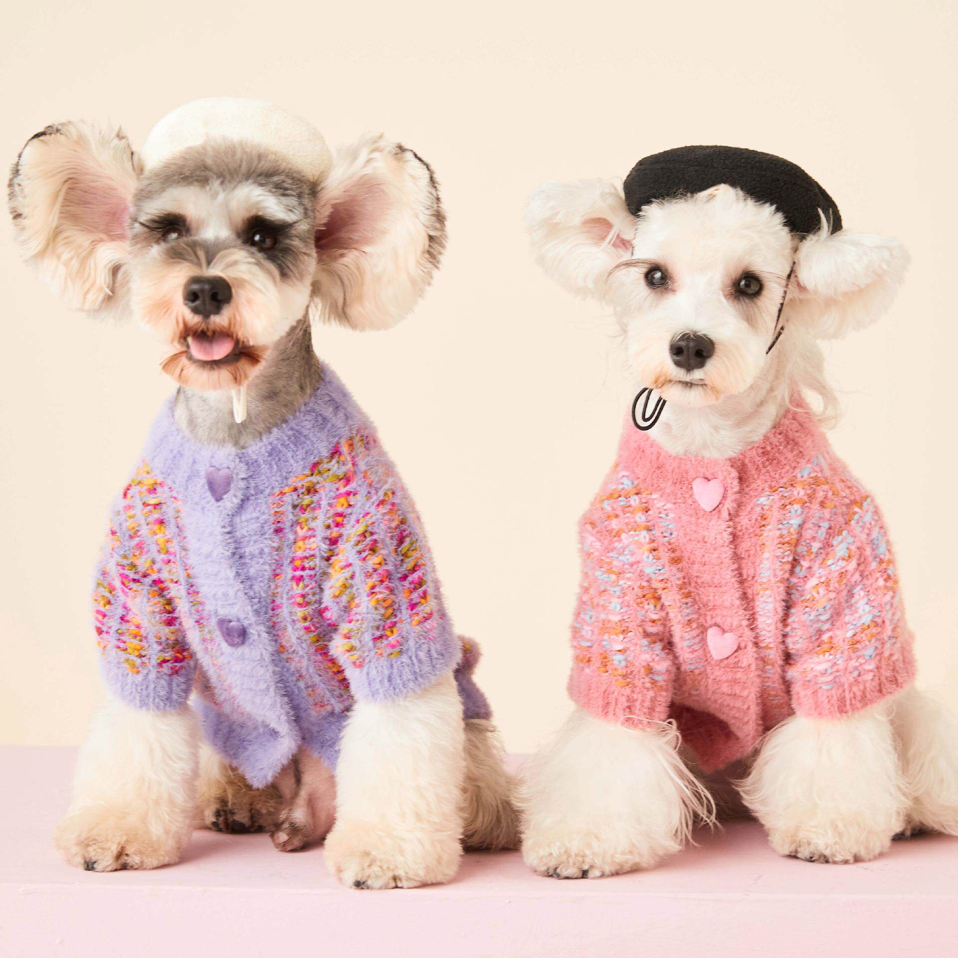 狗狗衣服秋冬母狗狗彩色毛衣泰迪雪纳瑞柯基比熊柴犬宠物开衫