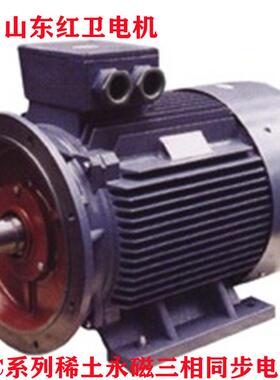 山东油田用TYC250M-12/22KW永磁三相同步电动机
