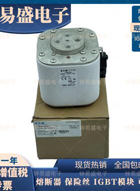BUSSMANN巴斯曼170M7592 170M7595 170M7978巴斯曼熔断器 2200A
