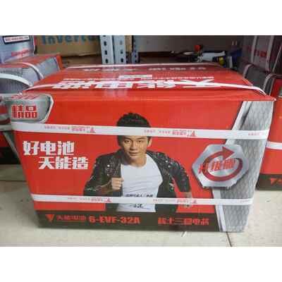 浙江天能60V20AH电动车电池6-DZM-20AH6-DZF-20A48V4只12V20AH5只