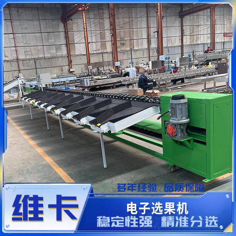 柑橘橙子全自动清洗选果机一机多用火龙果释迦果通用克重分选机