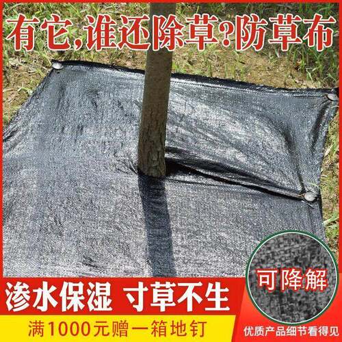 防草布除草果园农用果树地膜地布除草布加厚抗老化防草布打孔透气