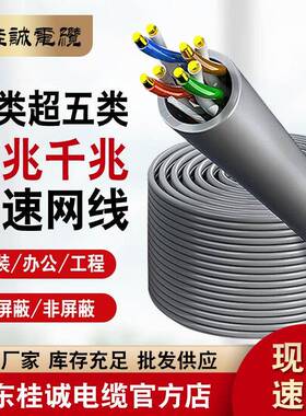 超五类双屏蔽抗干扰纯铜网线家用高速CAT5e双绞网线整箱100/300米