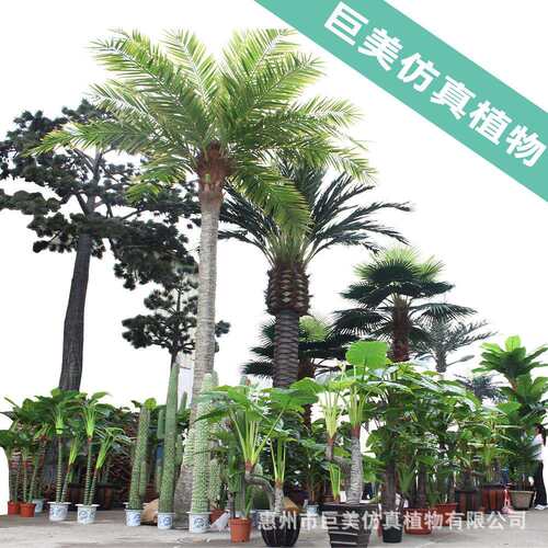 大型仿真绿植组合仿真树盆栽室内外装饰假树植物芭蕉树散尾葵
