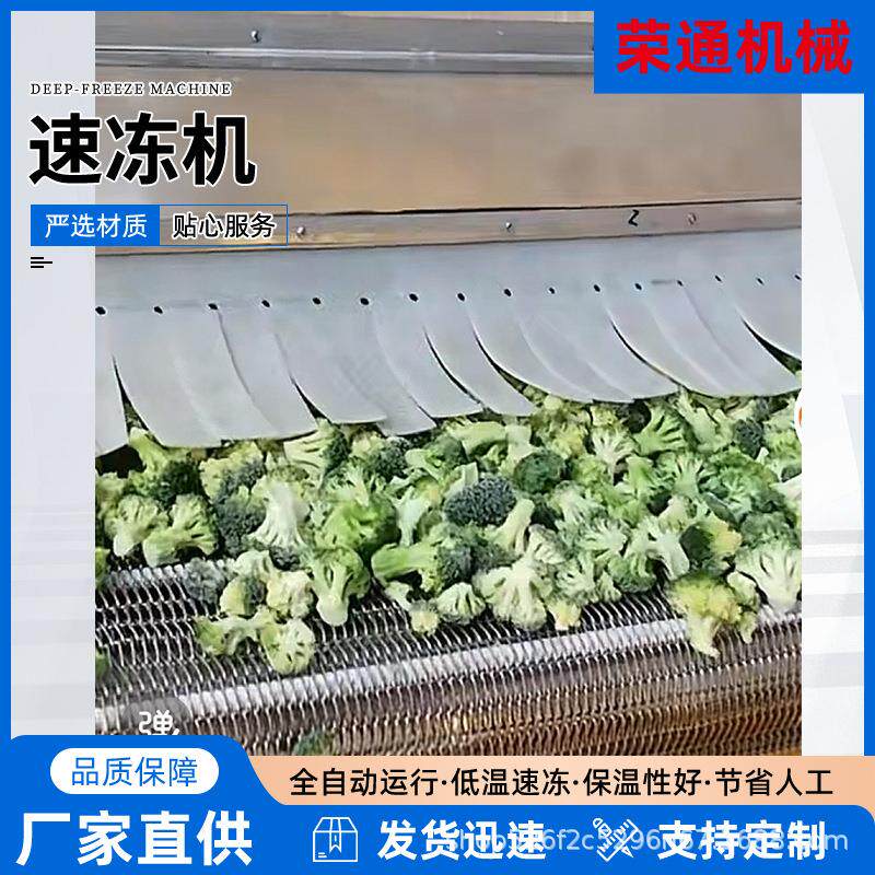 全自动鲽鱼低温冷冻设备豆角连续速冻机隧道式液体预冷冷却机