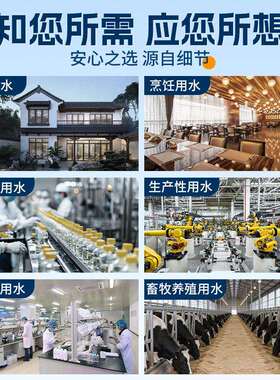 定工业水处理设备反渗透630纯制净水设备ro去离子直超水纯设备厂