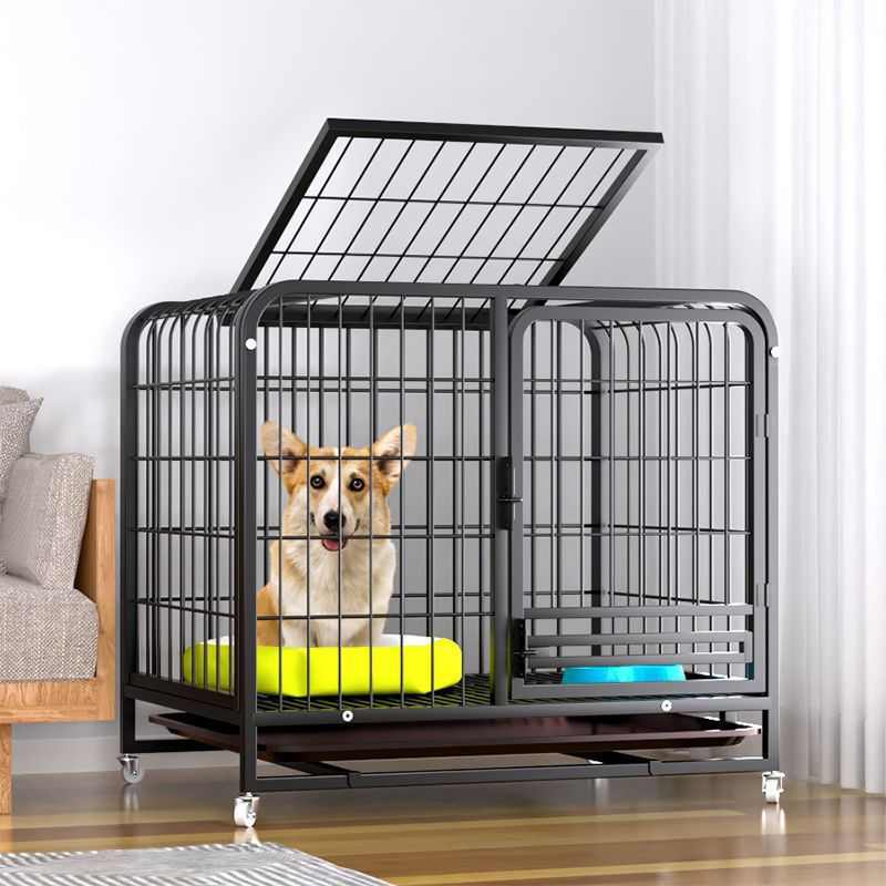 狗笼子中小型犬泰迪室内带厕所家用猫笼兔笼加粗狗狗别墅宠物罗加