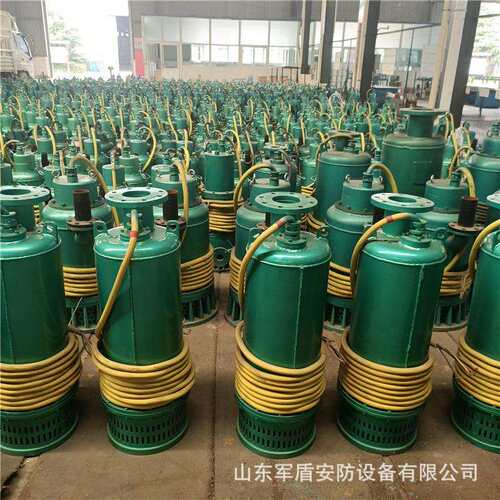 矿用铸铁防爆BQS800-90-315/NKW排沙潜水泵 隔爆型机械密封电动泵