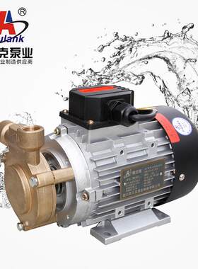 WS-07高扬程耐高温热油热水旋涡泵小型热水热油高温漩涡泵