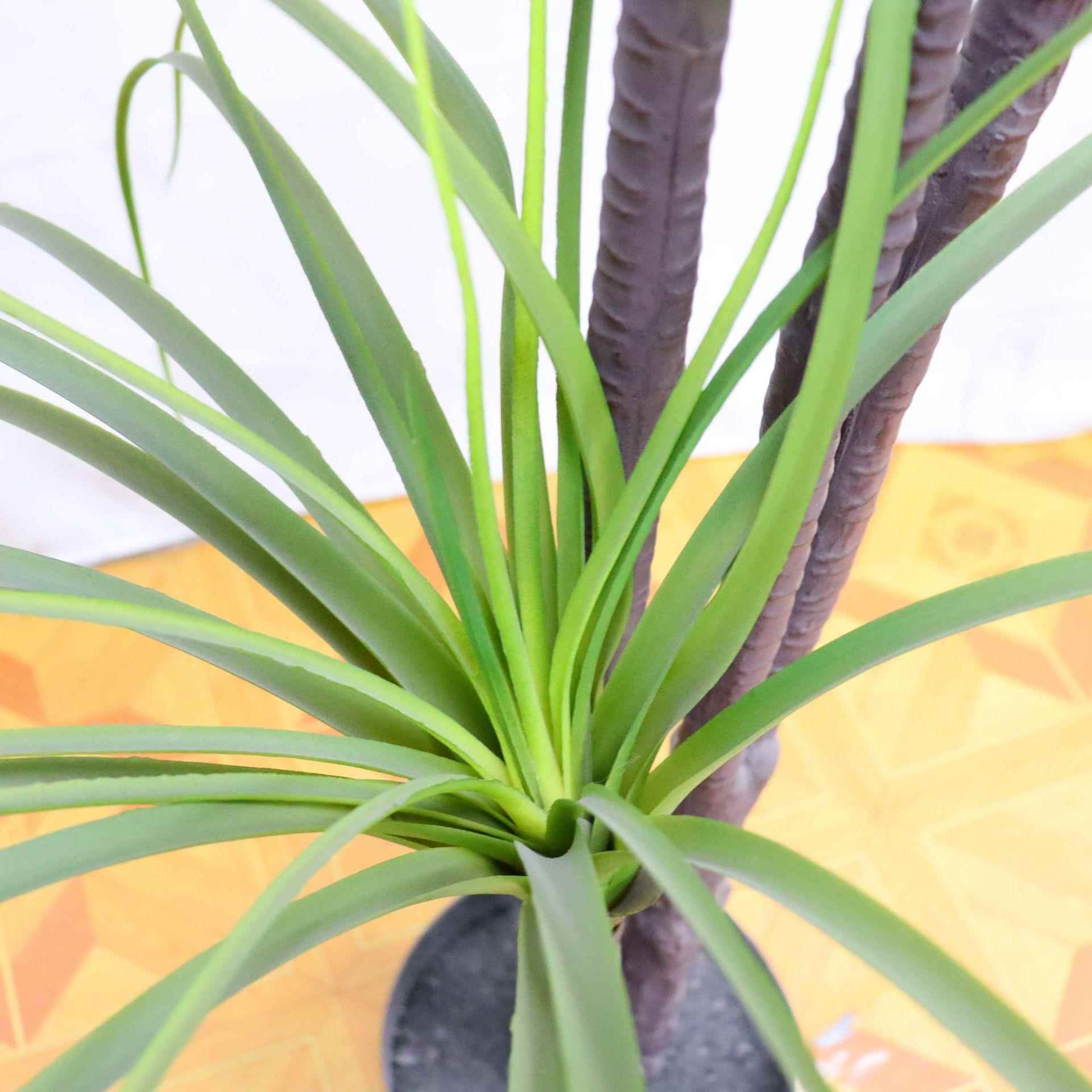 仿真血龙软装造景盆栽GFK龙血铁植物橱窗家居树落地摆件绿植龙须
