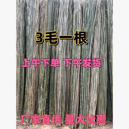 黄瓜架豆角架番茄架爬藤架彩旗杆竹竿子菜园搭架各种蔬菜架丝瓜架
