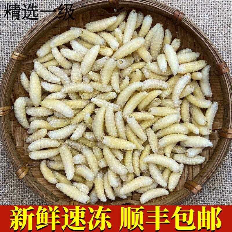 野生蜂蛹鲜新冷冻一级蜂冰冻马蜂拥烧烤油炸云南特产500g顺丰包邮