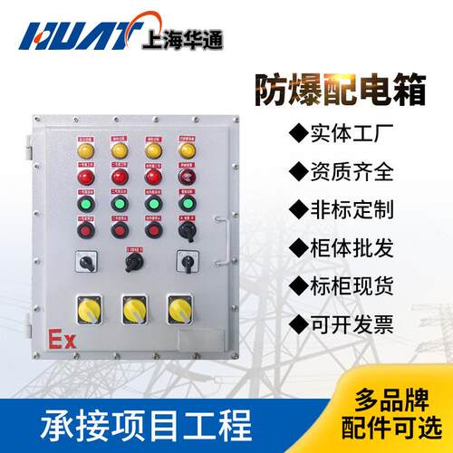 防爆动力配电控制箱仪表照明动力箱非标可订箱体