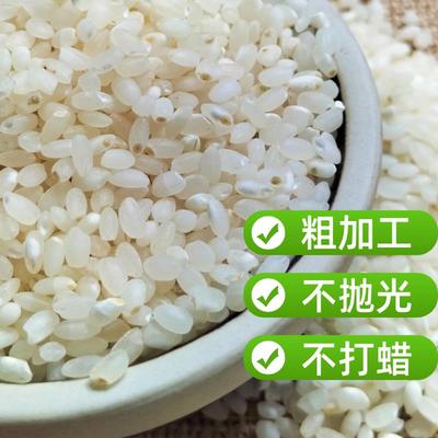 2024年新米20斤真空江苏南粳9108大米10kg软糯香梗米5斤粥米50斤