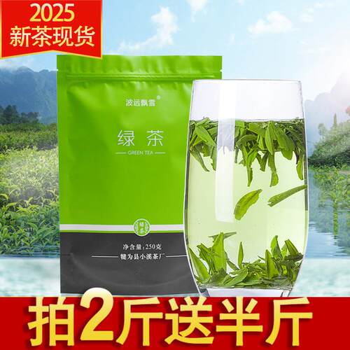 清香耐泡雨前茶2025新茶叶现货大片雀舌碎茶片散装500g