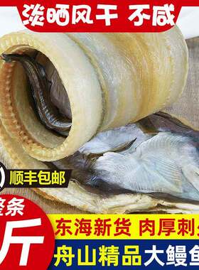 新货超大号海鳗干淡晒整条宁波舟山鳗鲞大海鳗鱼干东海本地风鳗干