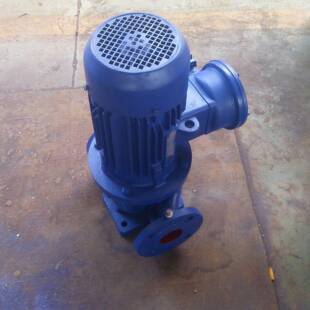 100 离心泵 立式 单相220V电机 A型 蓝科牌ISGB50