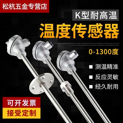高温K型热电偶2520材质310S电热偶WRN-130/230砖窑炉温度感测器