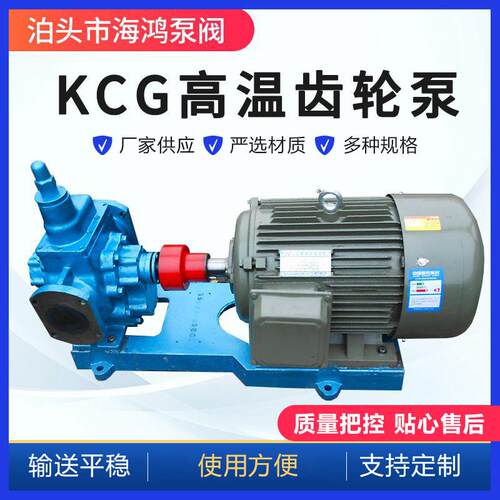 供应KCG20/0.6高温热油泵20立方0.6MPA造纸涂料泵2CG油泵齿轮泵