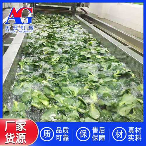 去壳荔枝肉清洗去杂质设备 速冻龙眼肉流水线 荔枝清洗速冻机