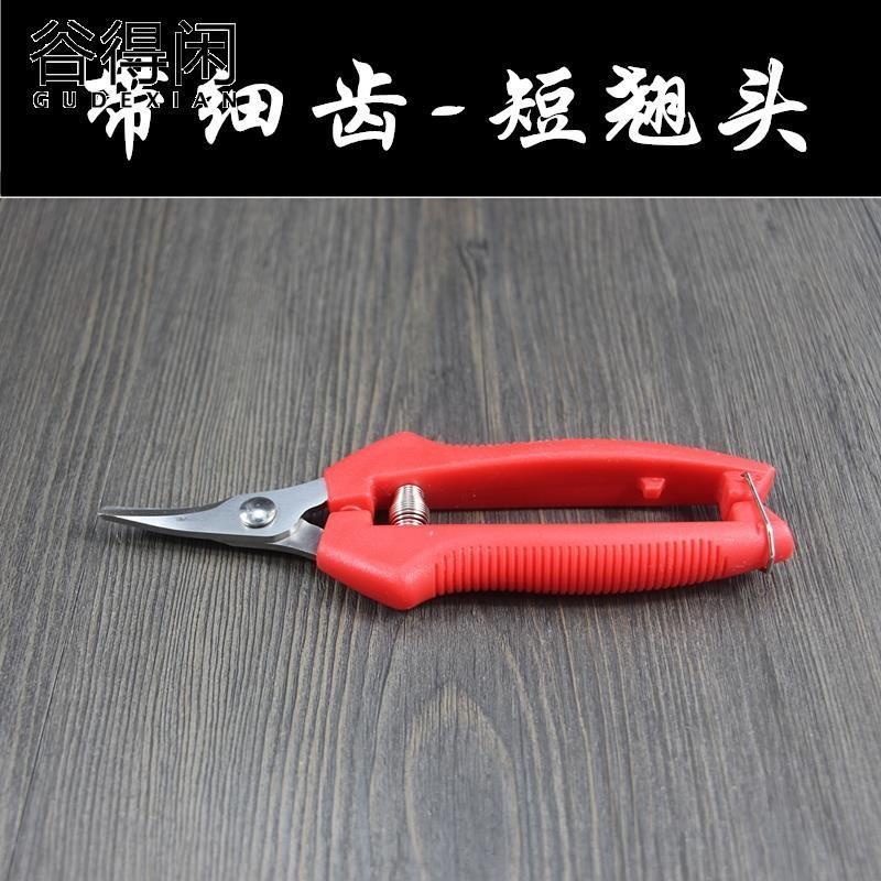 //采果剪葡萄柑橘桔子剪刀修枝剪修花摘果剪柿子家用果树蔬果剪工