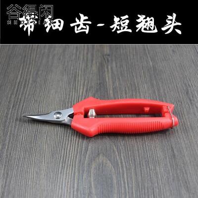 //采果剪葡萄柑橘桔子剪刀修枝剪修花摘果剪柿子家用果树蔬果剪工
