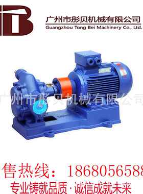 山东齿轮油YZV泵YCB0圆弧.齿轮泵YCB.型6/16