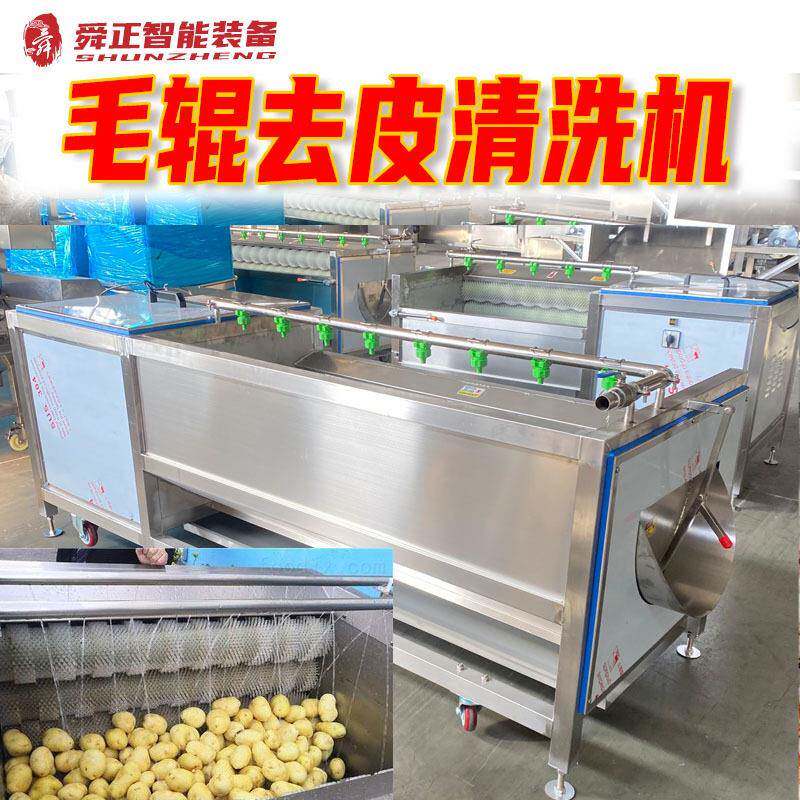 毛辊清洗机红薯土豆毛刷去皮机猪耳朵猪蹄材莲藕大姜清洗机