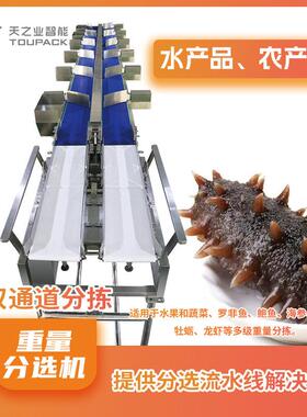 定制海产品多级重量分选机多级分选机海参鲍鱼重量分选系统