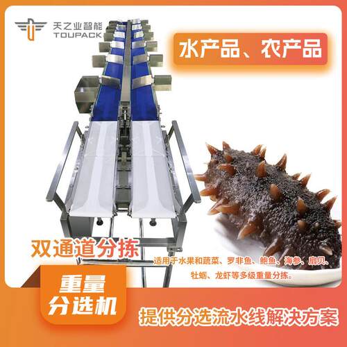 定制海产品多级重量分选机多级分选机海参鲍鱼重量分选系统
