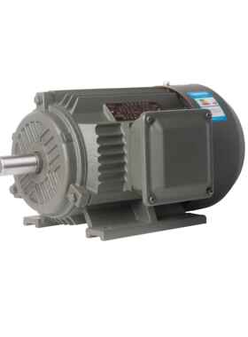 厂家直销高效节能电机YE2-80M2-40.75W