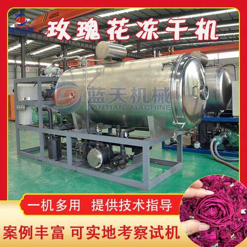 玫瑰花冻干机全自动刺梨红茶花茶真空式干燥机玫瑰花茶冻干设备