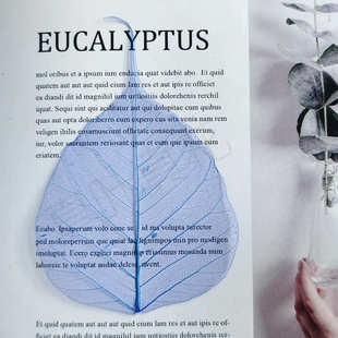 真叶真花天然树叶菩提叶脉染色彩色儿童学生DIY手工材料干花贴画